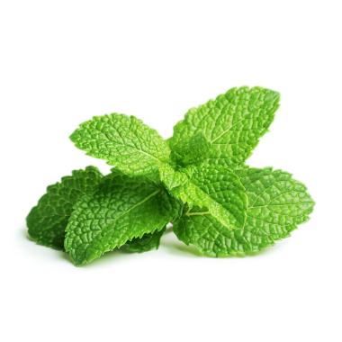 Click & Grow Plant Pods | Peppermint | 3-Pack