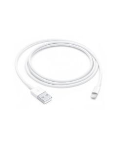 Apple Lightning to USB Cable (1m)