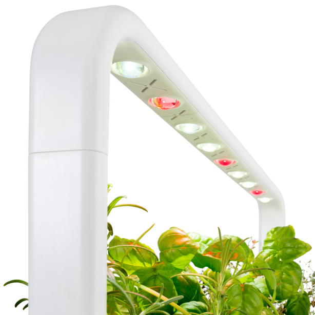 Click & Grow Smart Garden 9