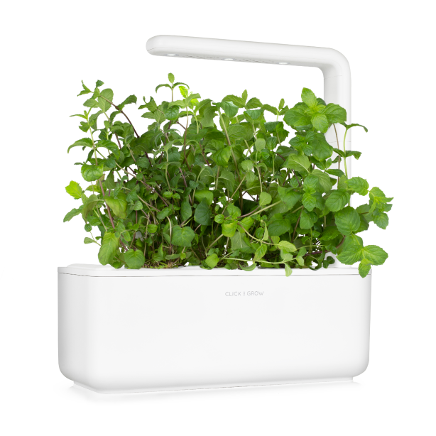 Click & Grow Plant Pods | Peppermint | 3-Pack