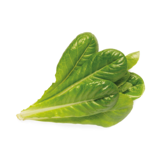 Click & Grow Plant Pods | Romaine Lettuce | 3-Pack
