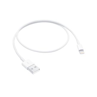 Apple Lightning to USB Cable (0.5m)