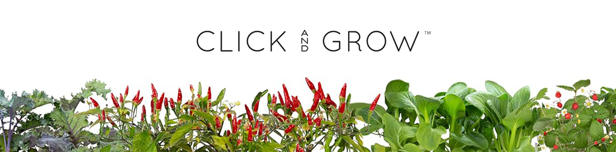 Click and grow brand banner