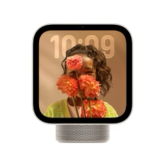 Apple HomeView
